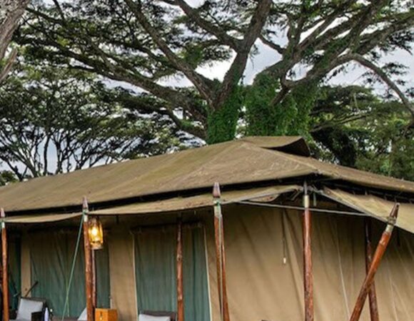 3 Day Camping Safaris