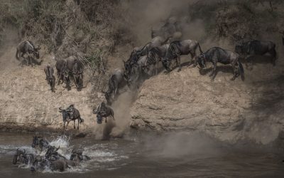 Mass Image Compressor Compressed this image. https://sourceforge.net/projects/icompress/ with Quality:80